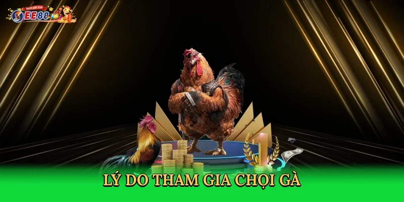 ly-do-tham-gia-choi-ga-3