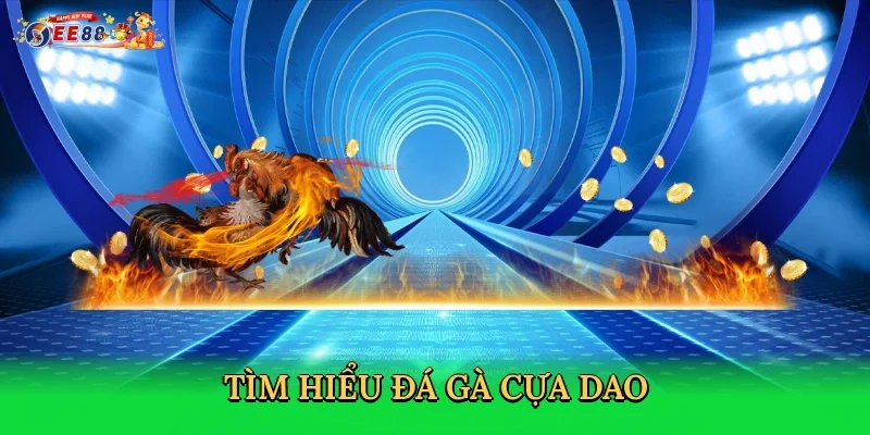 tim-hieu-da-ga-cua-dao-2
