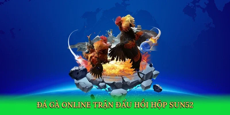 Đá gà online trận đấu hồi hộp Sun52