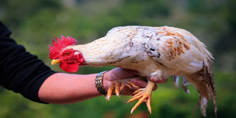 Ưu đãi rất khủng khiếp