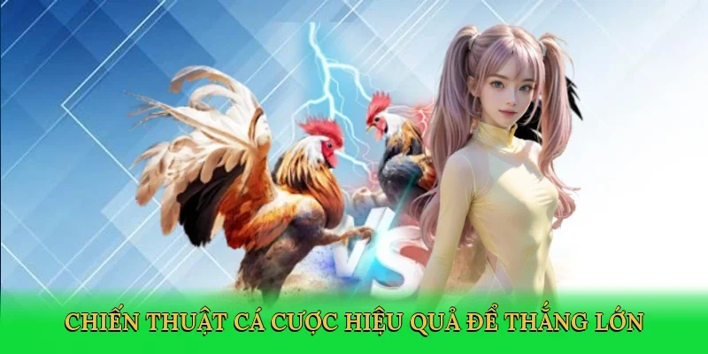 Chiến thuật cá cược hiệu quả để thắng lớn