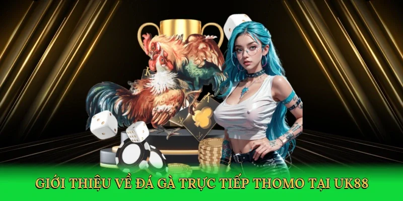 Giới thiệu về Đá gà trực tiếp Thomo tại UK88