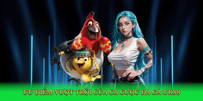 Ưu điểm vượt trội của cá cược đá gà UK88